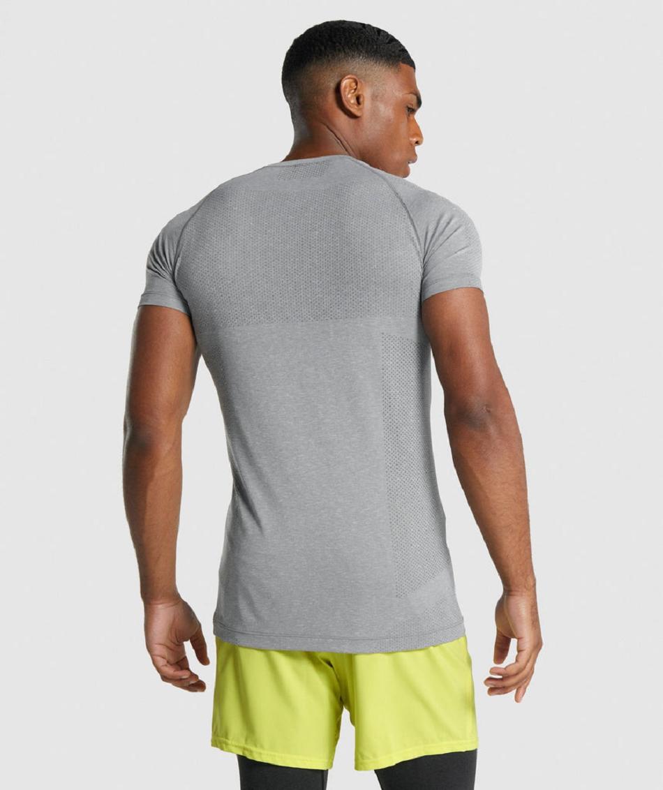 Gymshark Vital Light Seamless Muške T Shirts Sive | HR 2413PJJ